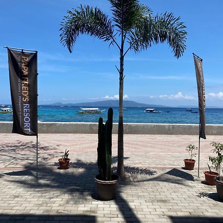 Papa Freds Beach Resort Puerto Galera Kültér fotó