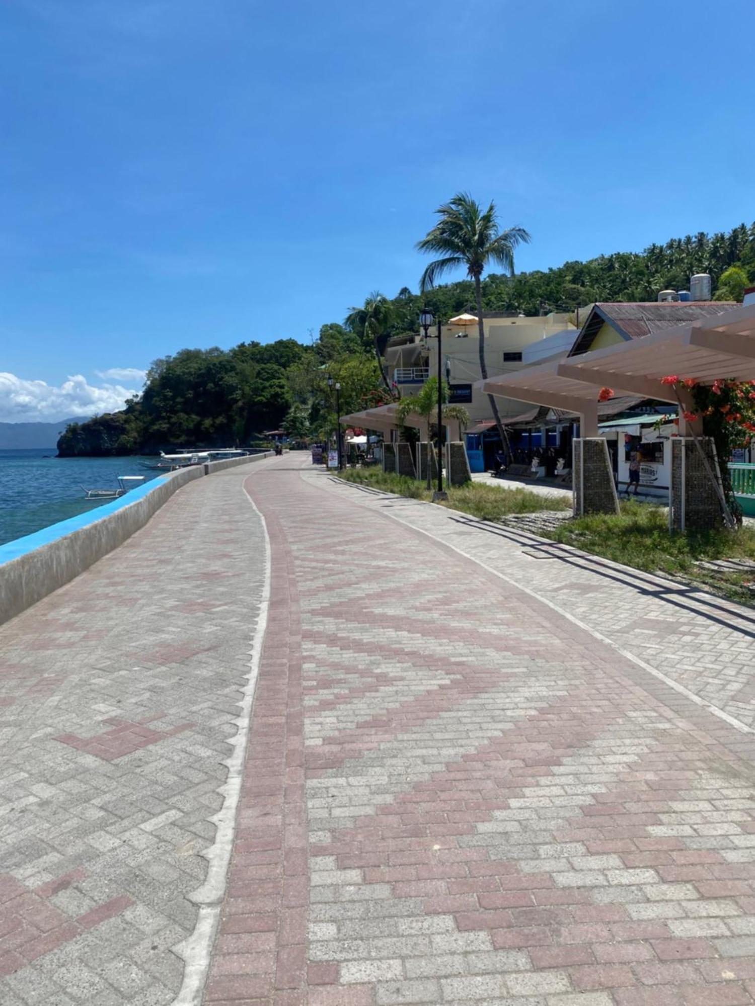 Papa Freds Beach Resort Puerto Galera Kültér fotó