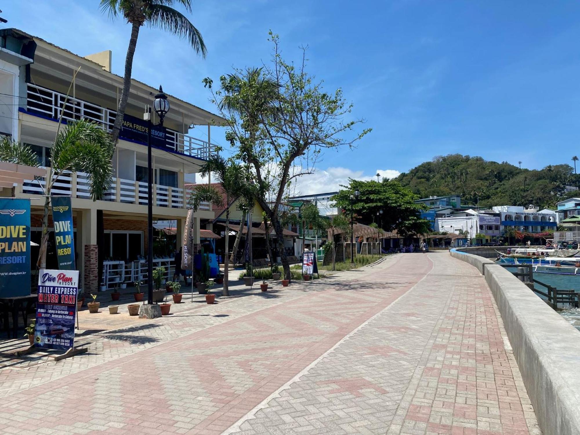 Papa Freds Beach Resort Puerto Galera Kültér fotó