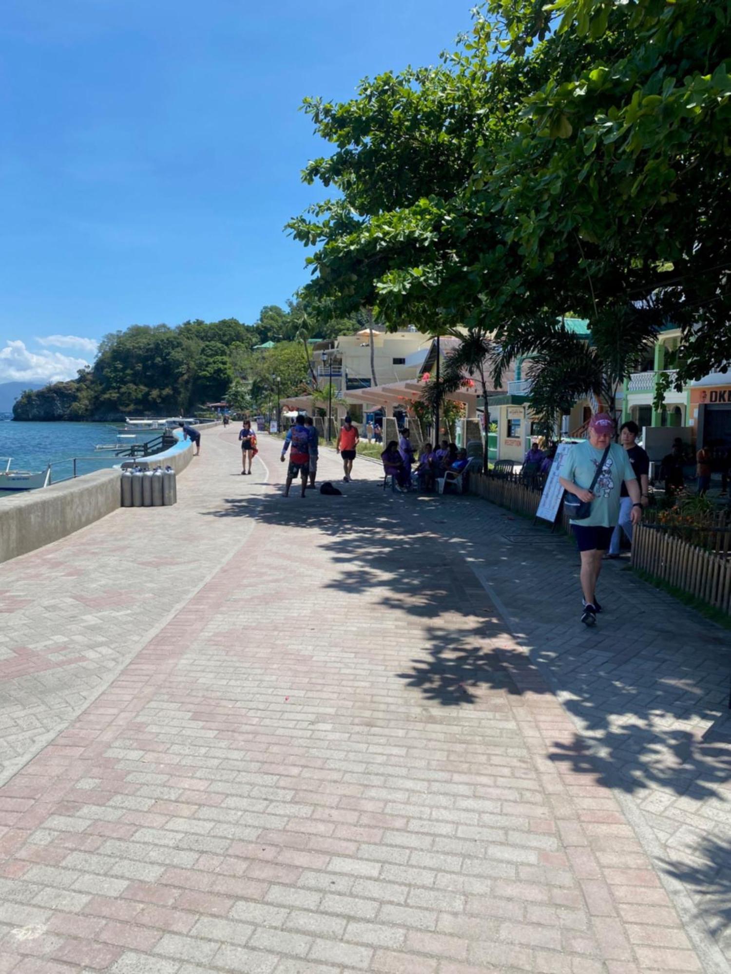 Papa Freds Beach Resort Puerto Galera Kültér fotó