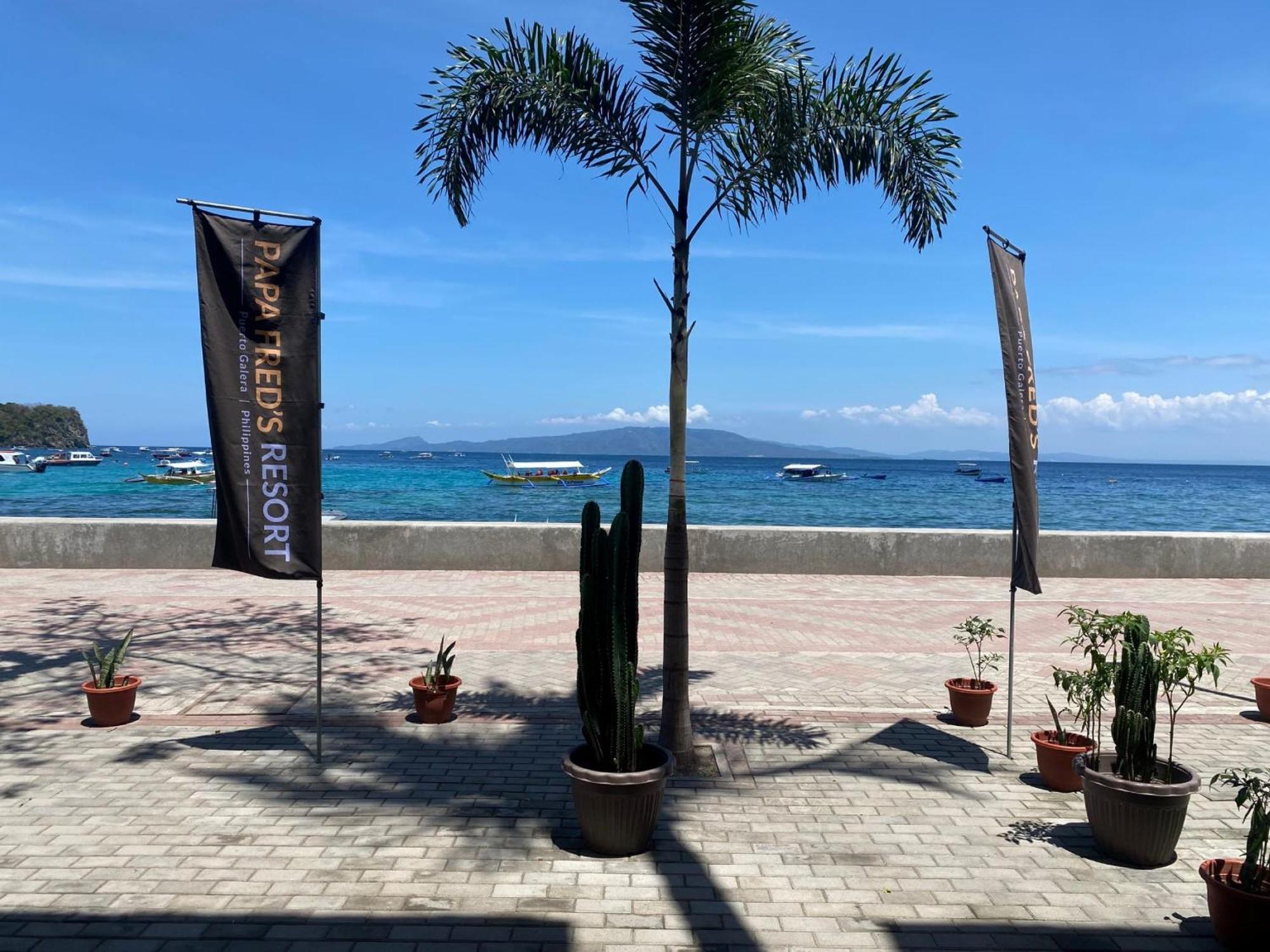 Papa Freds Beach Resort Puerto Galera Kültér fotó
